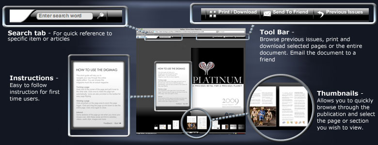 How the digital Publications work